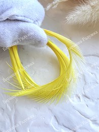 Гусиное перо, Желтый (5 шт)