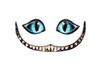 Кабошон улыбка Чеширского Кота и глазки - фото 14812