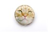 Мордочка кота для броши №1 - фото 14867
