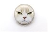 Мордочка кота для броши №3 - фото 19009