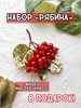 Набор материалов для создания броши "Рябина" nabor-030 - фото 39694